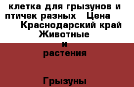 клетка для грызунов и птичек разных › Цена ­ 500 - Краснодарский край Животные и растения » Грызуны и Рептилии   